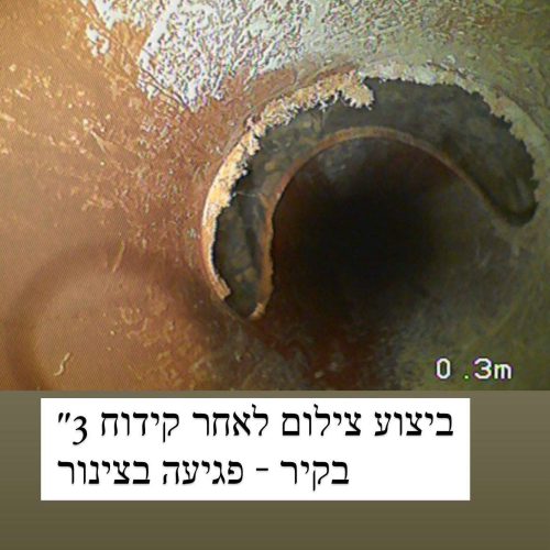1-file-jpeg