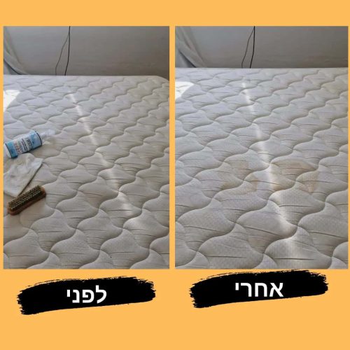 תמונה-של-WhatsApp_-2024-07-30-בשעה-00.07.26_4297abec